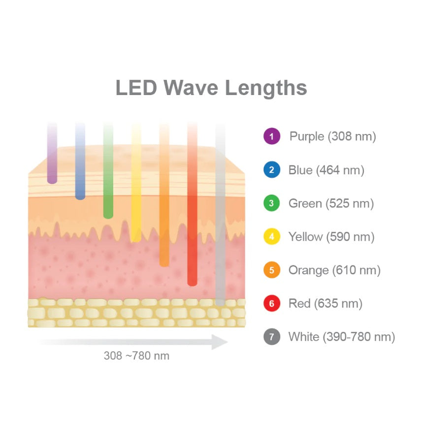 4-wave-lengths-Osaki-LED-DomeLE.jpg